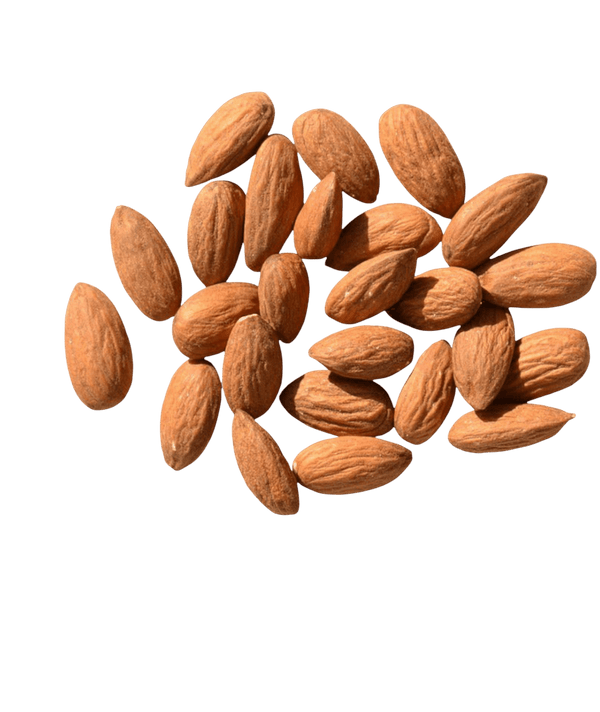 لوز لوز لوز