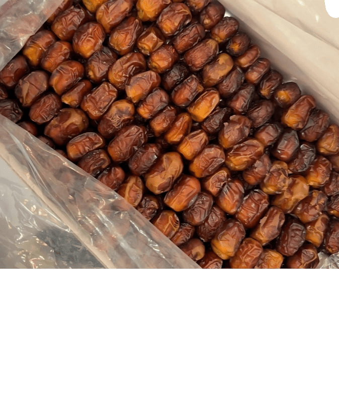 تمر بومعان ليوا التمر تمر بومعان ليوا