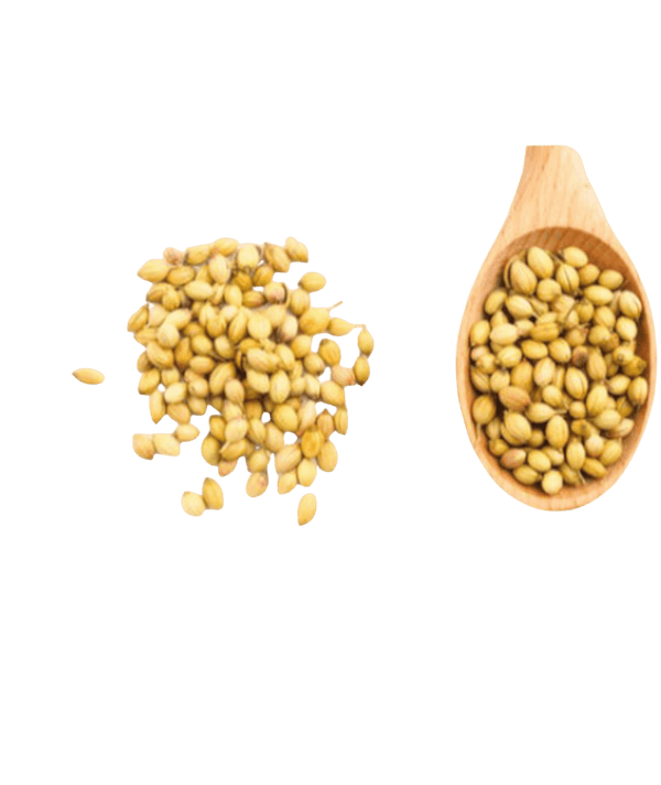 ⁨كزبرة حب⁩⁩ ⁩ seasoning-بهارات ⁨كزبرة حب⁩⁩