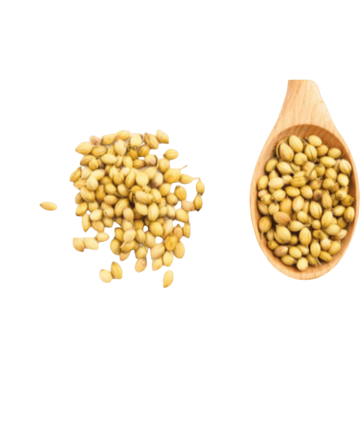 ⁨كزبرة حب⁩⁩ ⁩ seasoning-بهارات ⁨كزبرة حب⁩⁩